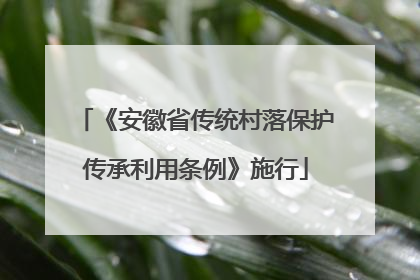《安徽省传统村落保护传承利用条例》施行