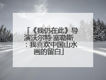 《我仍在此》导演沃尔特·塞勒斯：我喜欢中国山水画的留白