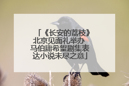 《长安的荔枝》北京见面礼举办 马伯庸希望剧集表达小说未尽之意