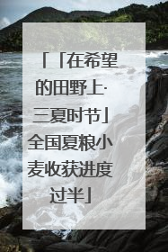 「在希望的田野上·三夏时节」全国夏粮小麦收获进度过半