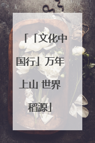 「文化中国行」万年上山 世界稻源