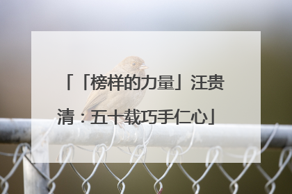 「榜样的力量」汪贵清：五十载巧手仁心