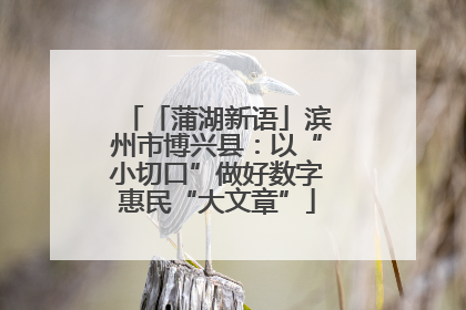 「蒲湖新语」滨州市博兴县：以“小切口”做好数字惠民“大文章”