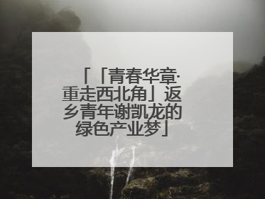 「青春华章·重走西北角」返乡青年谢凯龙的绿色产业梦