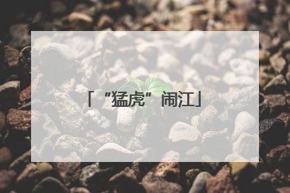 “猛虎”闹江