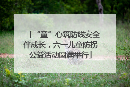 “童”心筑防线安全伴成长，六一儿童防拐公益活动圆满举行