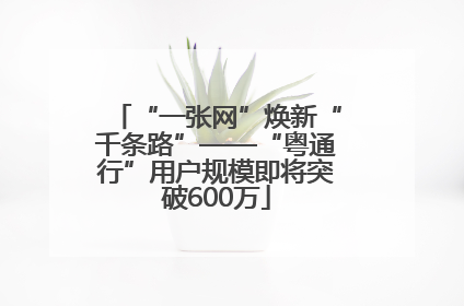 “一张网”焕新“千条路”——“粤通行”用户规模即将突破600万