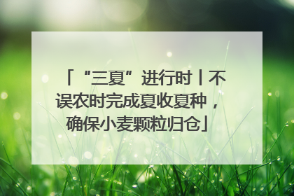 “三夏”进行时丨不误农时完成夏收夏种，确保小麦颗粒归仓