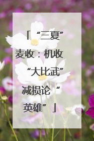 “三夏”麦收：机收“大比武” 减损论“英雄”