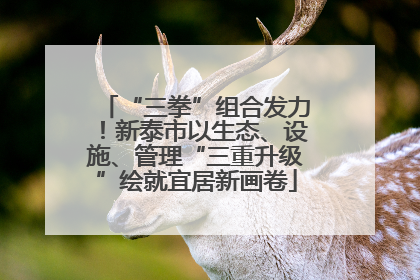 “三拳”组合发力！新泰市以生态、设施、管理“三重升级”绘就宜居新画卷