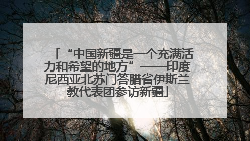 “中国新疆是一个充满活力和希望的地方”——印度尼西亚北苏门答腊省伊斯兰教代表团参访新疆