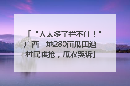 “人太多了拦不住！”广西一地280亩瓜田遭村民哄抢，瓜农哭诉