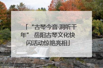 “古琴今音·洞听千年” 岳阳古琴文化快闪活动惊艳亮相