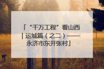 “千万工程”看山西｜运城篇（之二）——永济市东开张村