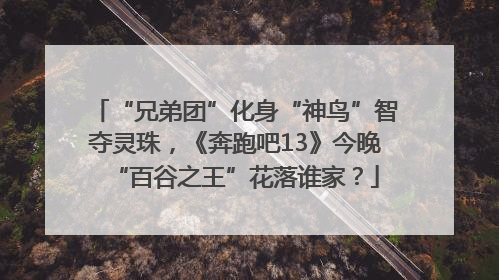 “兄弟团”化身“神鸟”智夺灵珠，《奔跑吧13》今晚“百谷之王”花落谁家？
