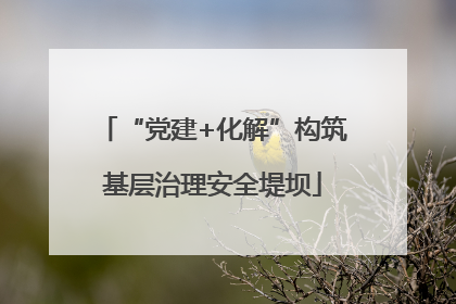 “党建+化解”构筑基层治理安全堤坝