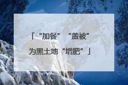 “加餐”“盖被” 为黑土地“增肥”