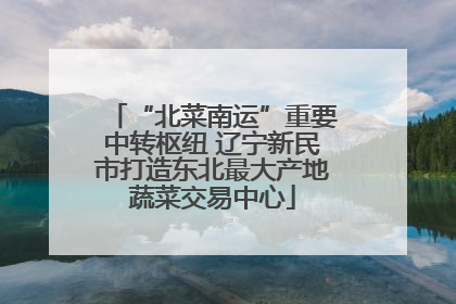 “北菜南运”重要中转枢纽 辽宁新民市打造东北最大产地蔬菜交易中心
