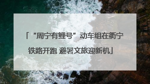 “周宁有鲤号”动车组在衢宁铁路开跑 避暑文旅迎新机