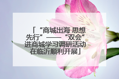 “商城出海 思想先行”——“双会”进商城学习调研活动在临沂顺利开展
