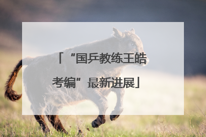 “国乒教练王皓考编”最新进展