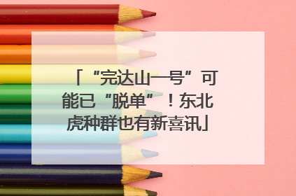 “完达山一号”可能已“脱单”！东北虎种群也有新喜讯