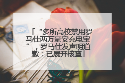 “多所高校禁用罗马仕两万毫安充电宝”，罗马仕发声明道歉：已展开核查