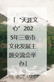 “天涯文心”2025年三亚市文化发展主题交流会举办
