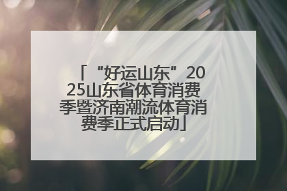 “好运山东”2025山东省体育消费季暨济南潮流体育消费季正式启动