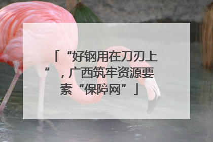 “好钢用在刀刃上”，广西筑牢资源要素“保障网”