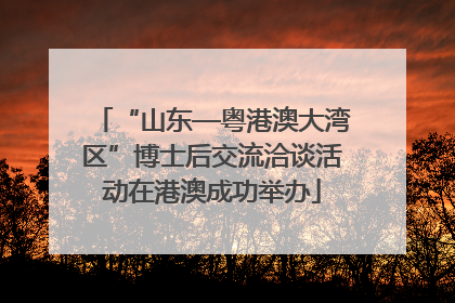“山东—粤港澳大湾区”博士后交流洽谈活动在港澳成功举办