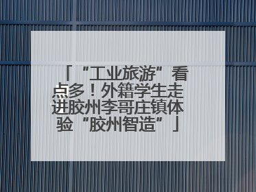 “工业旅游”看点多！外籍学生走进胶州李哥庄镇体验“胶州智造”