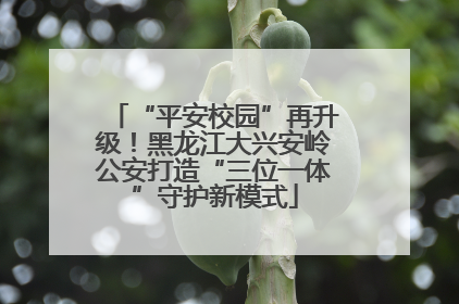 “平安校园”再升级！黑龙江大兴安岭公安打造“三位一体”守护新模式