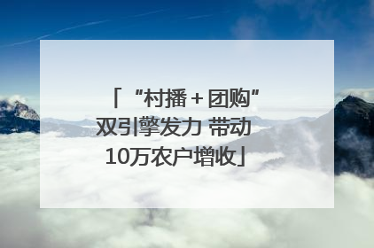 “村播＋团购”双引擎发力 带动10万农户增收