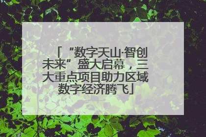 “数字天山·智创未来”盛大启幕，三大重点项目助力区域数字经济腾飞