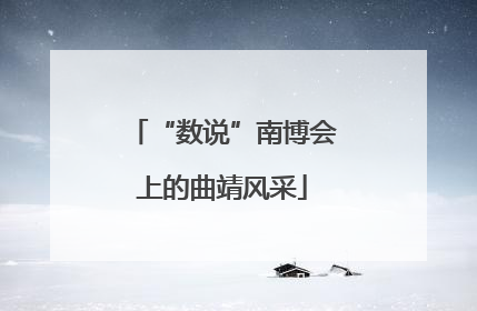 “数说”南博会上的曲靖风采