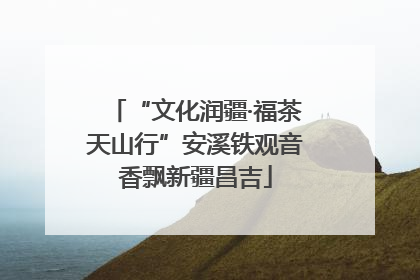 “文化润疆·福茶天山行”安溪铁观音香飘新疆昌吉