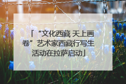 “文化西藏 天上画卷”艺术家西藏行写生活动在拉萨启动