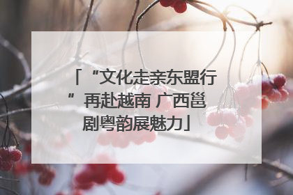 “文化走亲东盟行”再赴越南 广西邕剧粤韵展魅力
