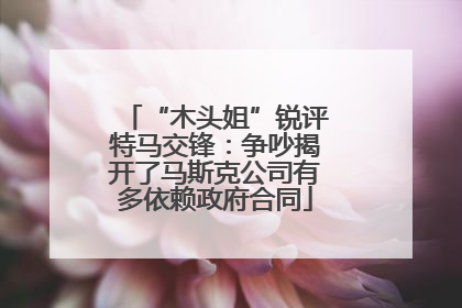 “木头姐”锐评特马交锋：争吵揭开了马斯克公司有多依赖政府合同