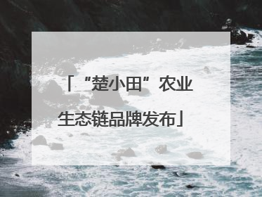 “楚小田”农业生态链品牌发布