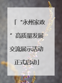 “永州家政”高质量发展交流展示活动正式启动