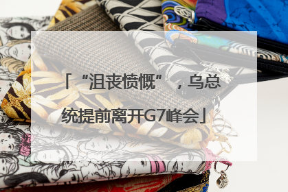 “沮丧愤慨”，乌总统提前离开G7峰会