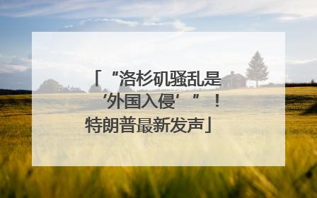 “洛杉矶骚乱是‘外国入侵’”！特朗普最新发声