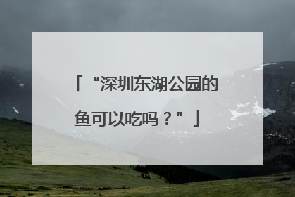 “深圳东湖公园的鱼可以吃吗？”