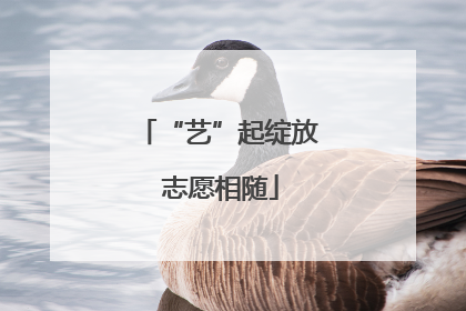 “艺”起绽放 志愿相随