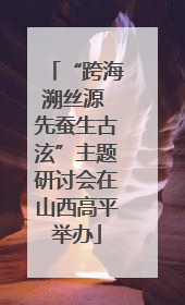 “跨海溯丝源 先蚕生古泫”主题研讨会在山西高平举办