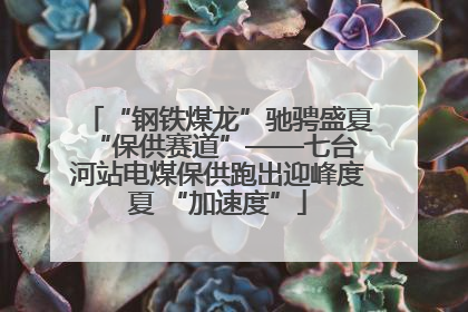 “钢铁煤龙”驰骋盛夏 “保供赛道”——七台河站电煤保供跑出迎峰度夏 “加速度”