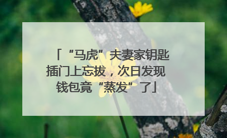 “马虎”夫妻家钥匙插门上忘拔，次日发现钱包竟“蒸发”了
