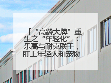 “高龄大牌”重生之“年轻化”：乐高与耐克联手，盯上年轻人和宠物的钱包